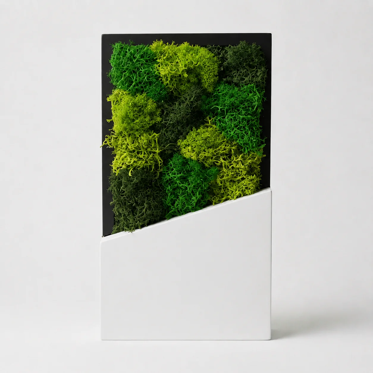Front view of the open Forest Award with preserved moss and a blank lower panel