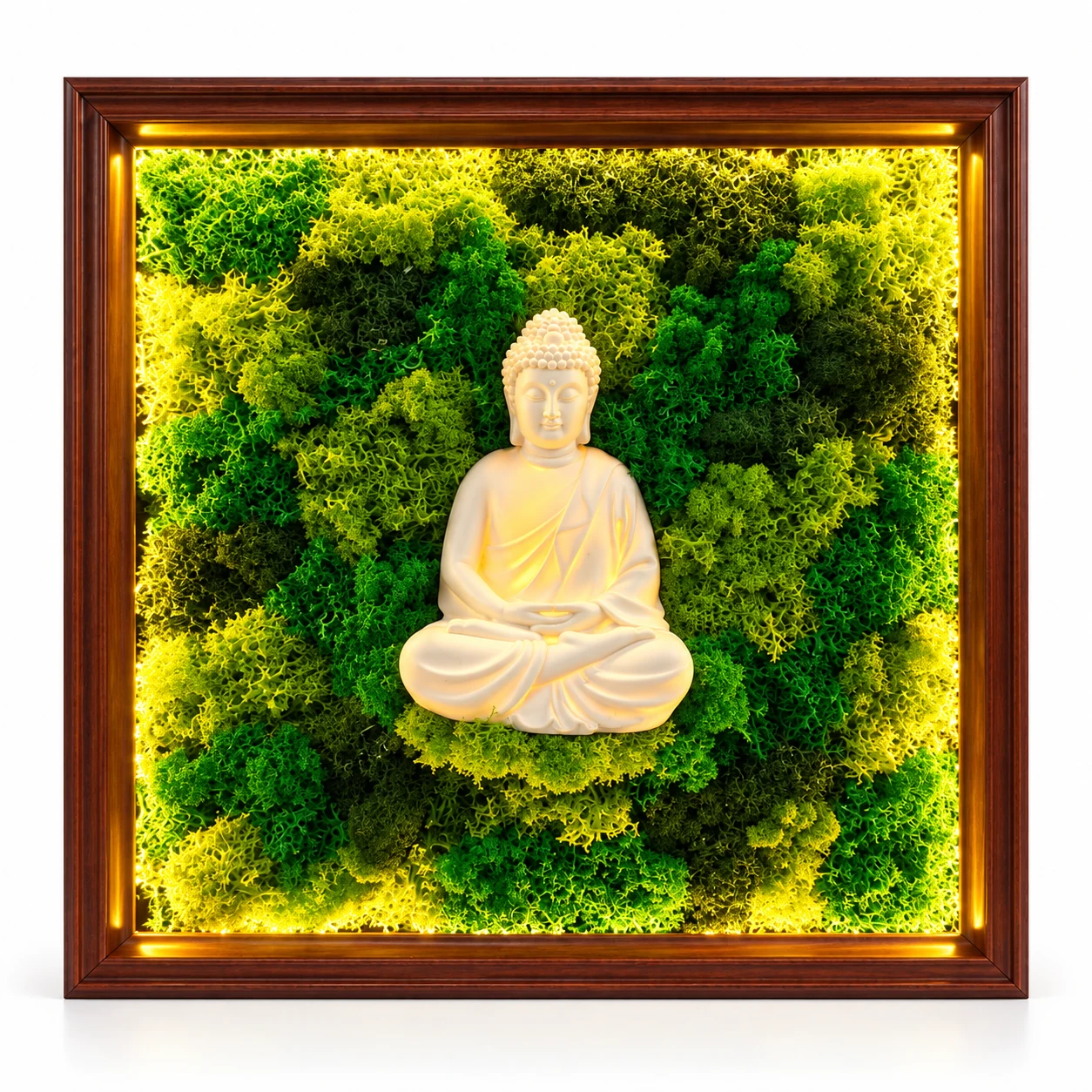 Exact FFrame-Buddha Buddha product photograph