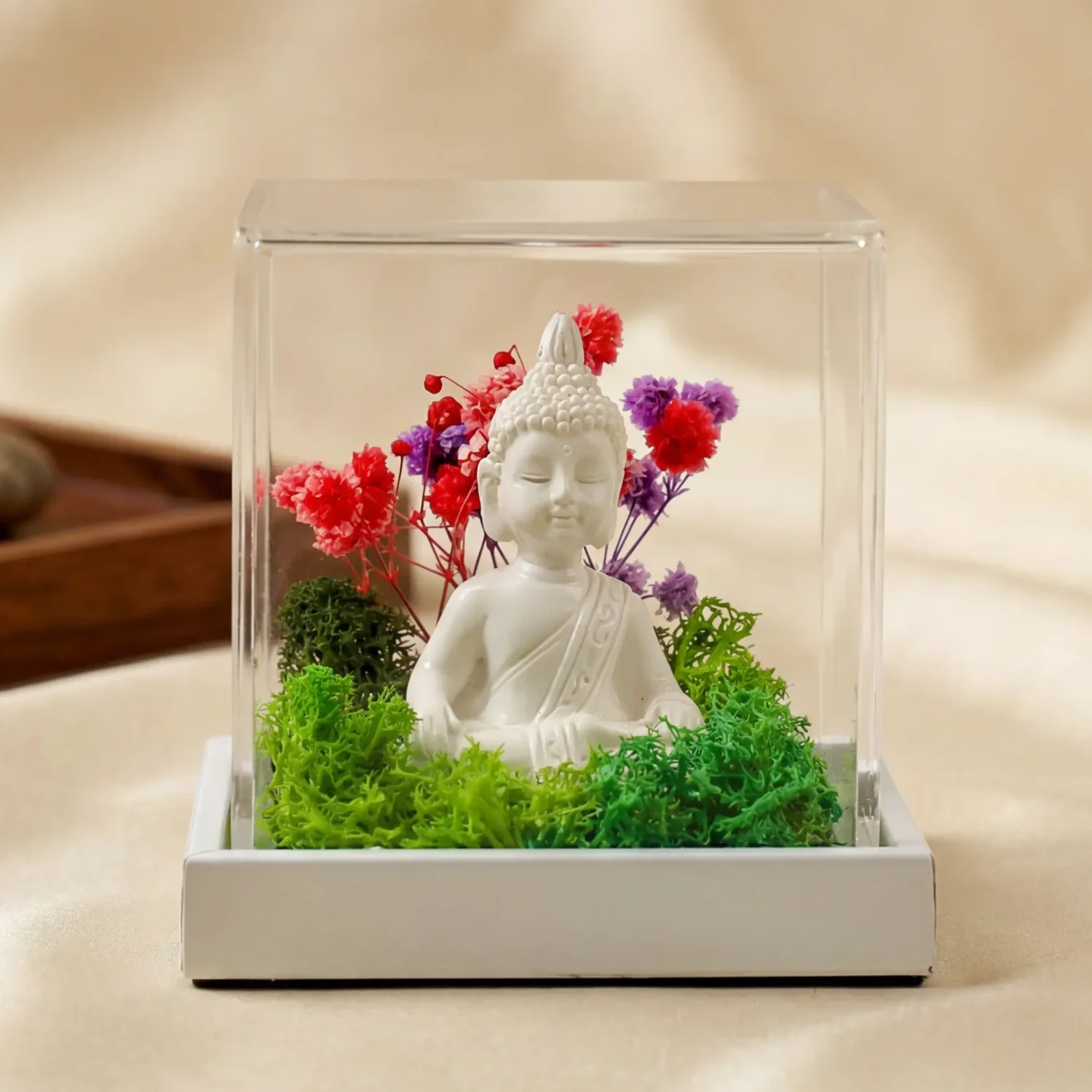 Mini Buddha Terrarium 3 × 3, exact FTERRA33-Buddha alternate view