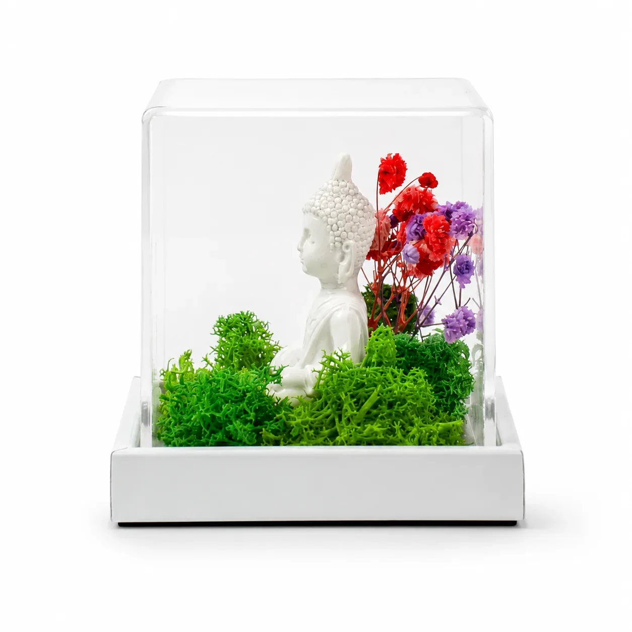 FTERRA33-Buddha side view
