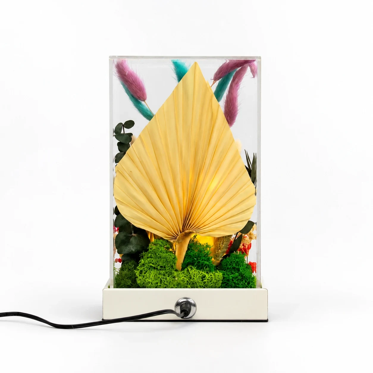 FTERRA95L-Buddha from behind, with the power socket