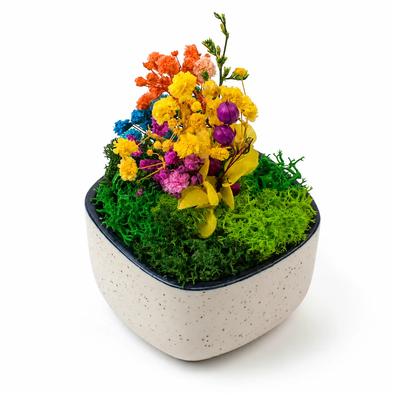Angled view into CF01 ceramic bowl showing preserved moss and flowers