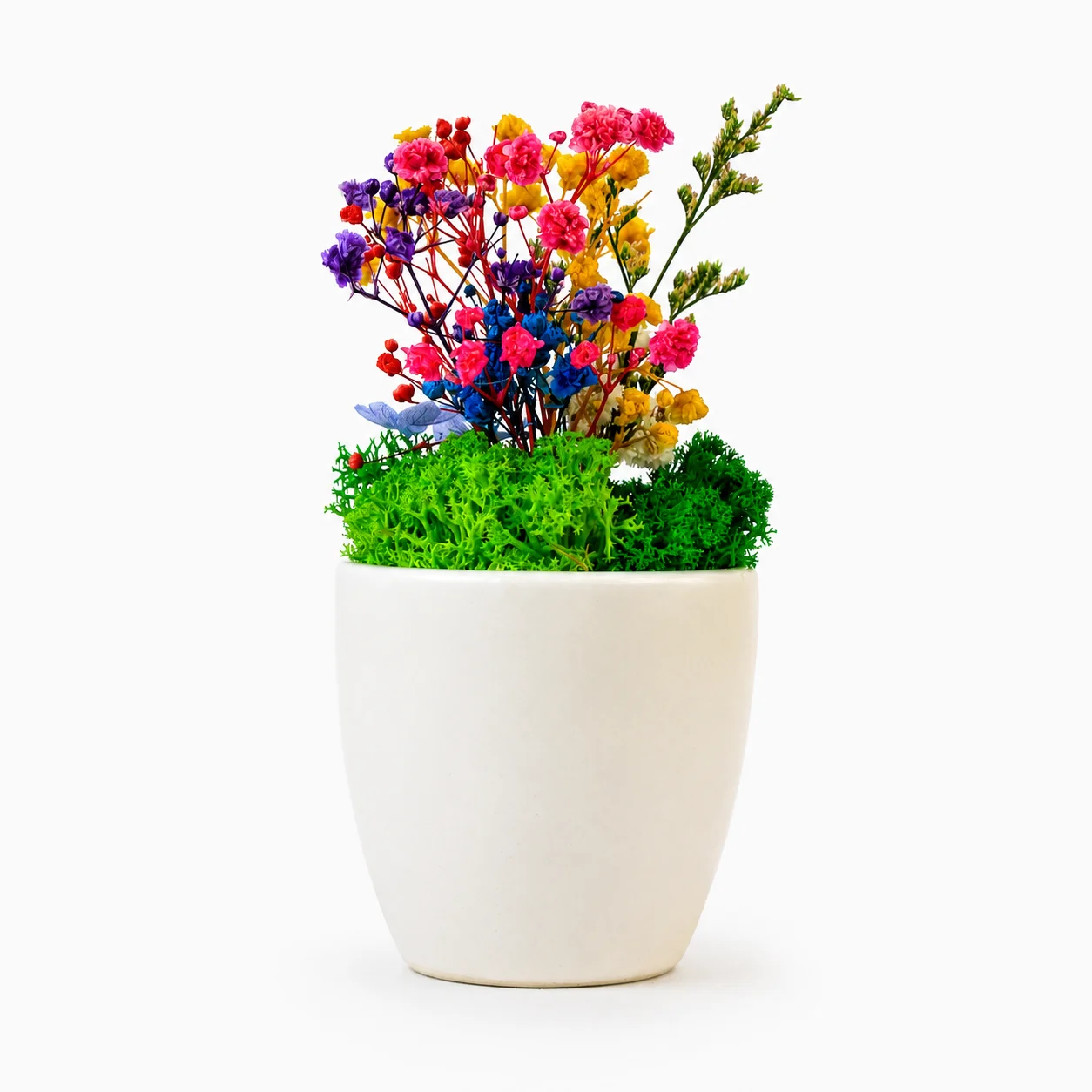 Plain white ceramic pot with preserved moss and colourful flowers