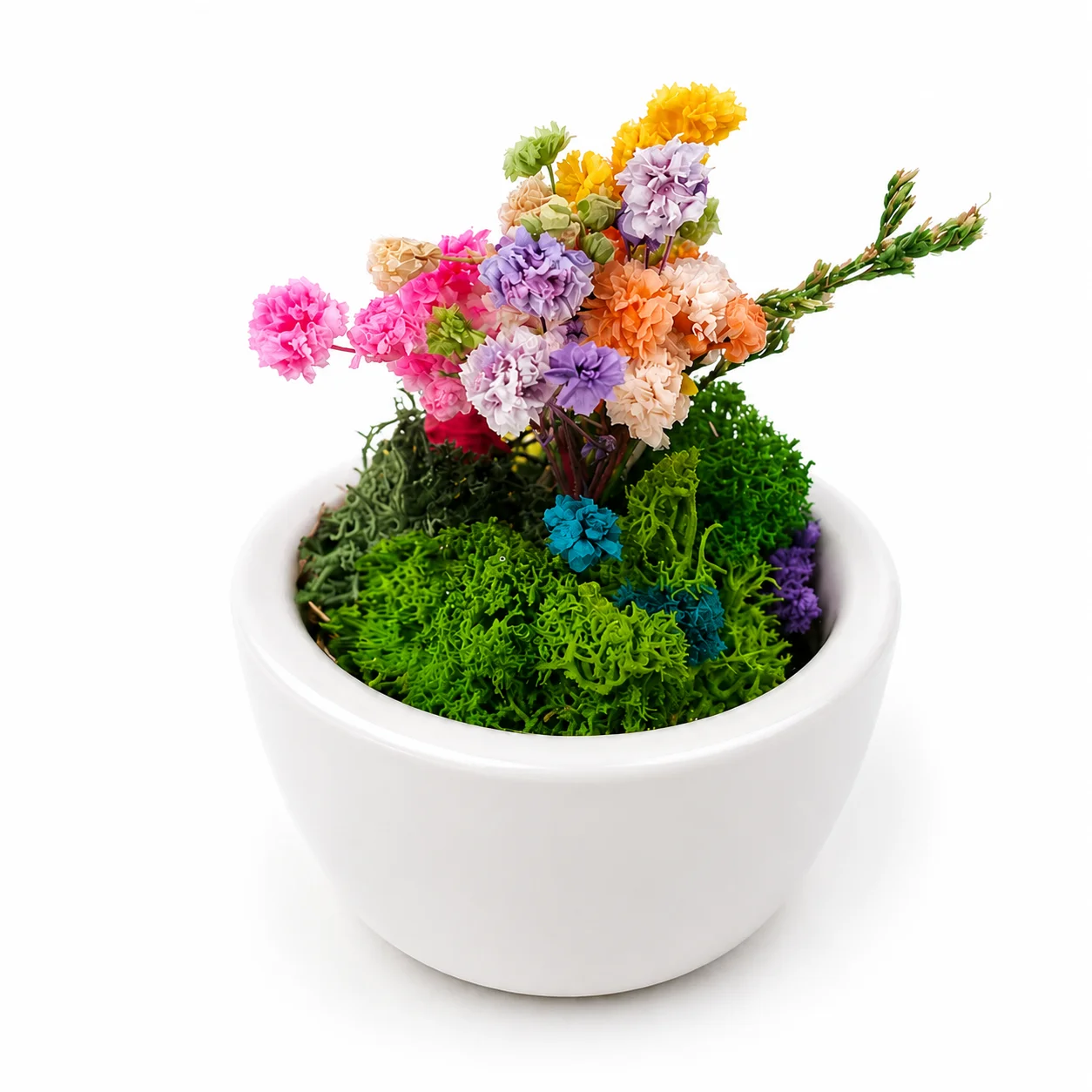 Small white ceramic bowl with preserved moss and colourful flowers