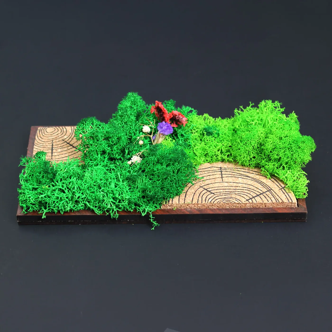 The Forest Tile Panorama from a low angle against a dark background: the preserved moss and flowers stand proud of the patterned cork