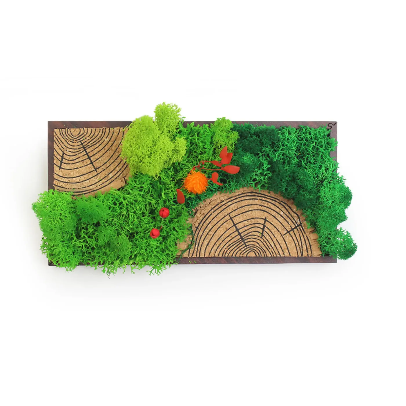 The Forest Tile Panorama from the front: preserved moss, a small orange flower and red berries spread across cork patterned with tree rings