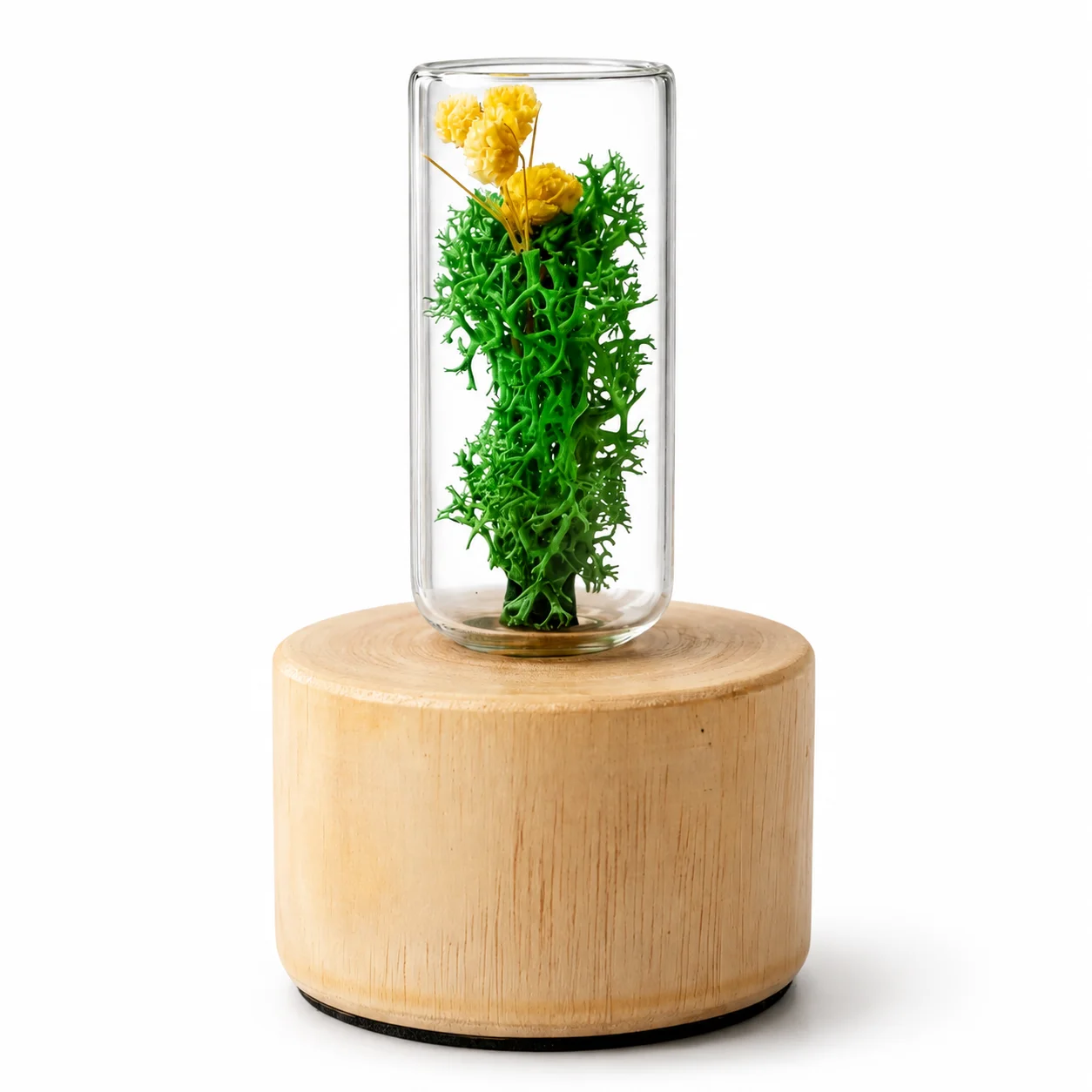 Exact Fstump02 Forest Stump Classic protected botanical glass on a wooden base