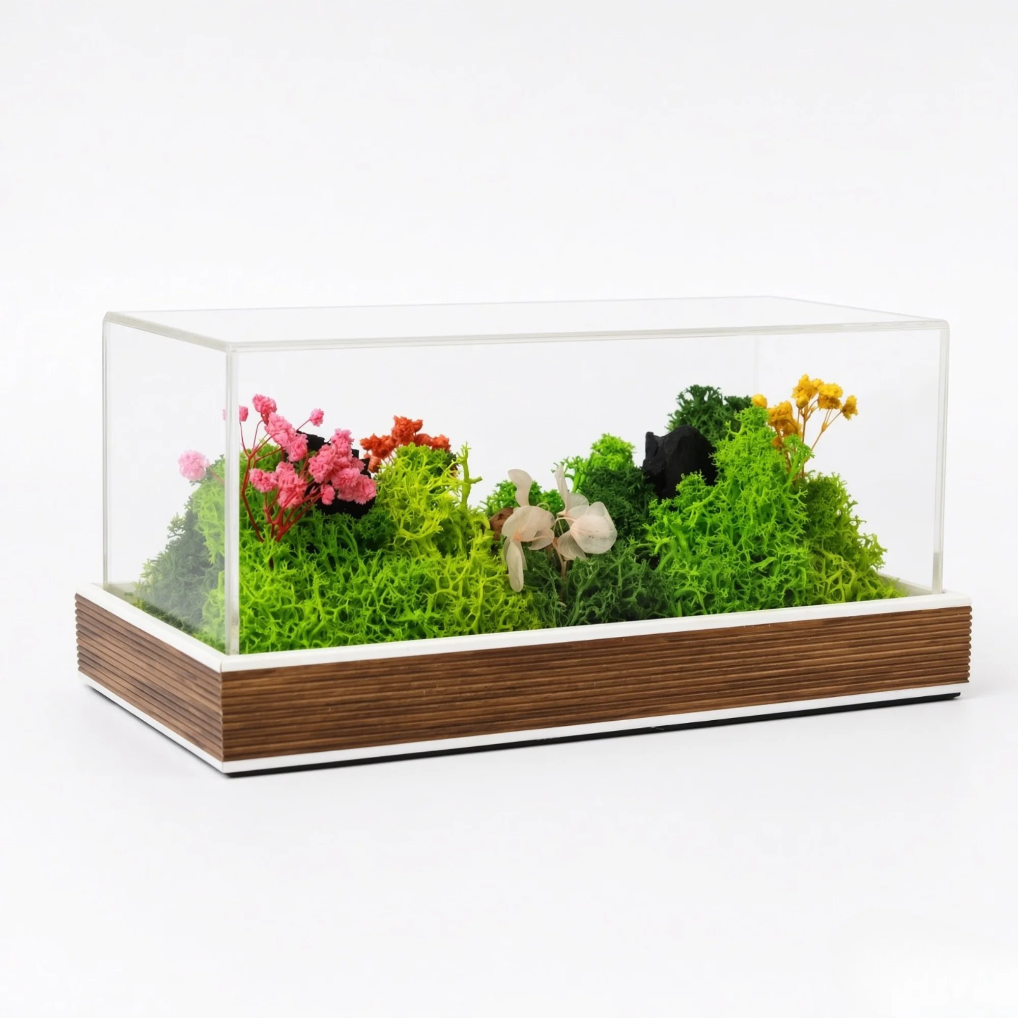 Exact FTERRA48 wide preserved-moss landscape under acrylic on a brown base