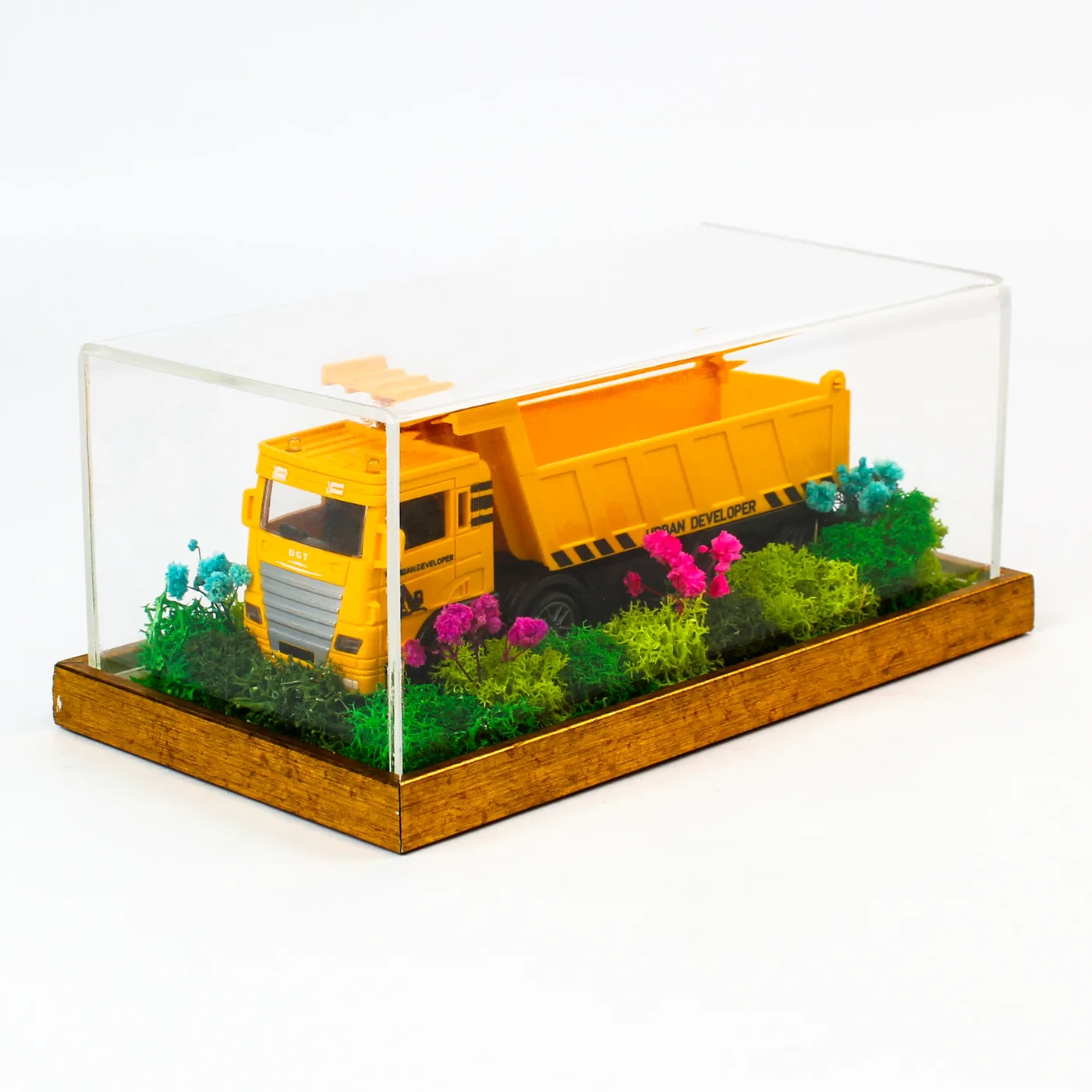 The toy truck terrarium from a three-quarter angle, showing the clear acrylic cover and the gold-toned base