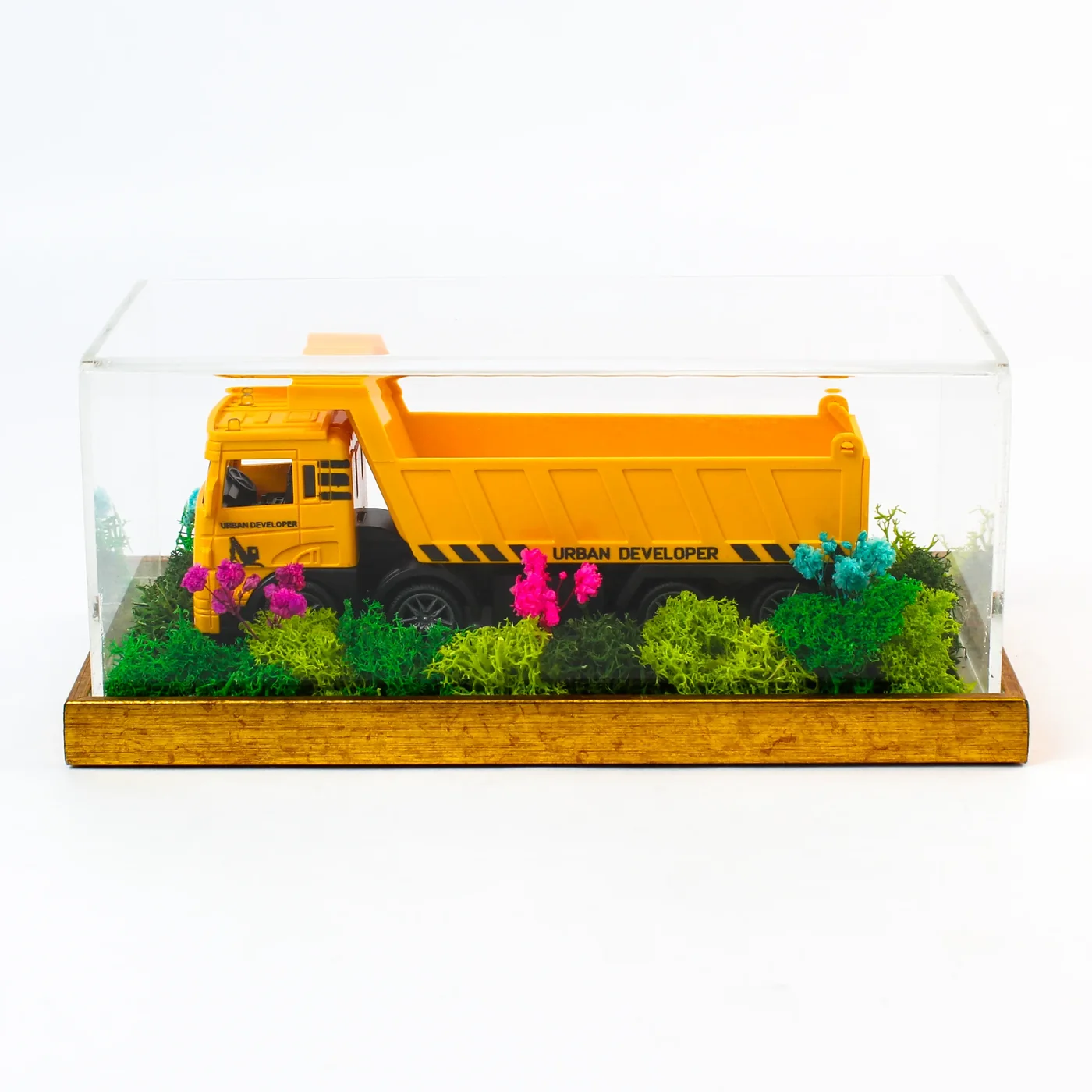 A yellow toy dump truck inside an 8 × 4-inch terrarium, with green preserved moss and small pink and blue flowers under a clear acrylic cover on a gold-toned base