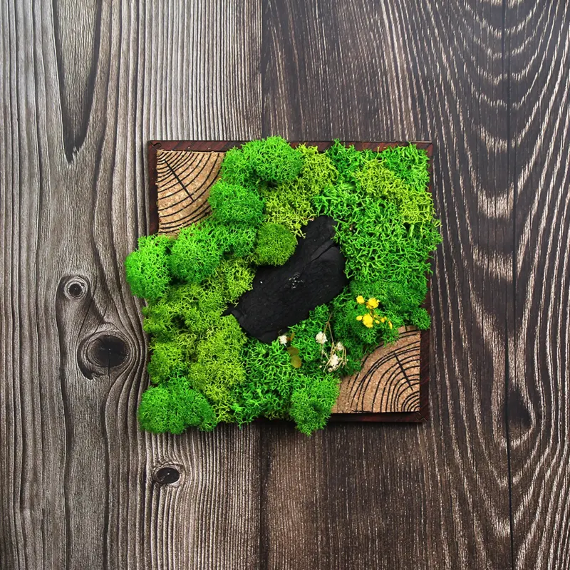 Square Forest Tile Panorama of preserved moss mounted on a wooden wall