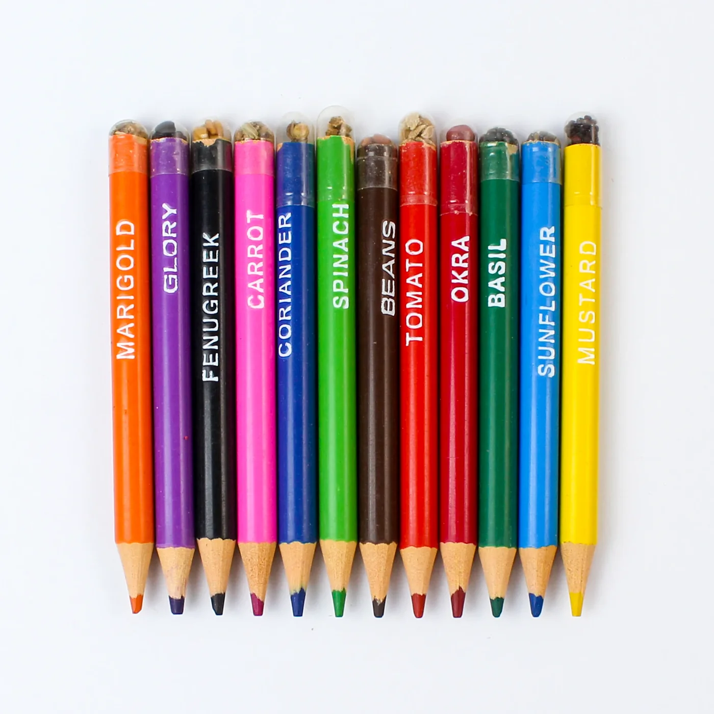 Twelve RG07 mini colour pencils in a row with seed capsules, named marigold, glory, fenugreek, carrot, coriander, spinach, beans, tomato, okra, basil, sunflower and mustard