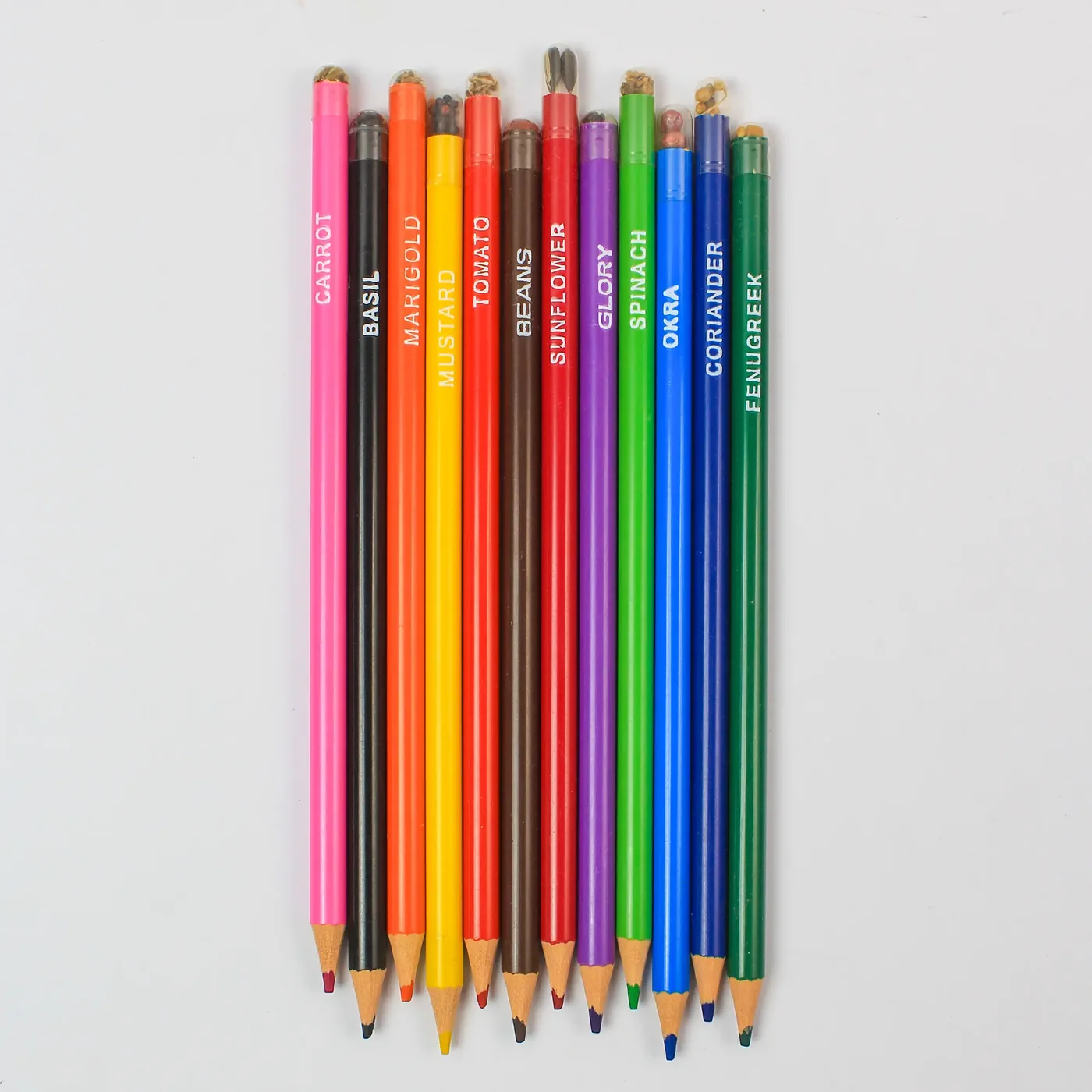 Plantable Colour Pencils, RG08