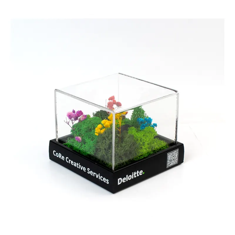 Desk terrarium for Deloitte CoRe — corporate gifting project by bioQ