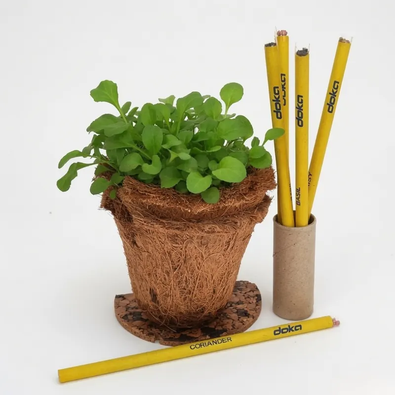 DOKA plantable pencils with coir pot and growing plant by bioQ