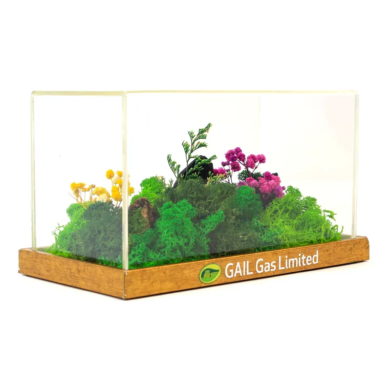 Preserved moss display for GAIL Gas — corporate gifting project by bioQ