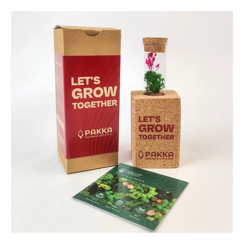 Preserved botanical for Pakka — corporate gifting project by bioQ