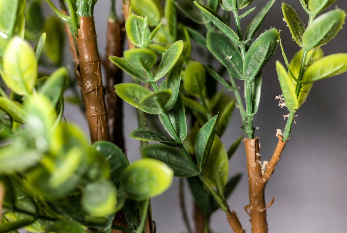 Artificial plant close-up