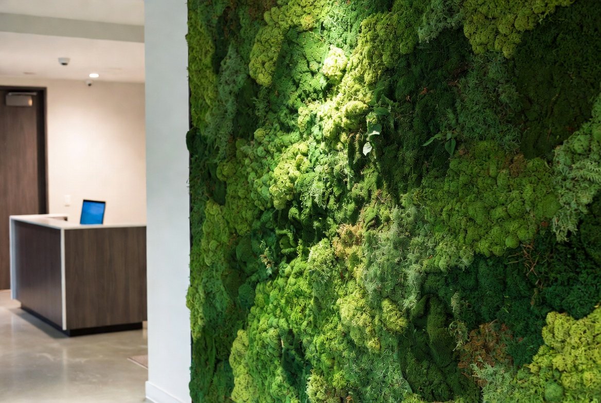 Moss wall installation