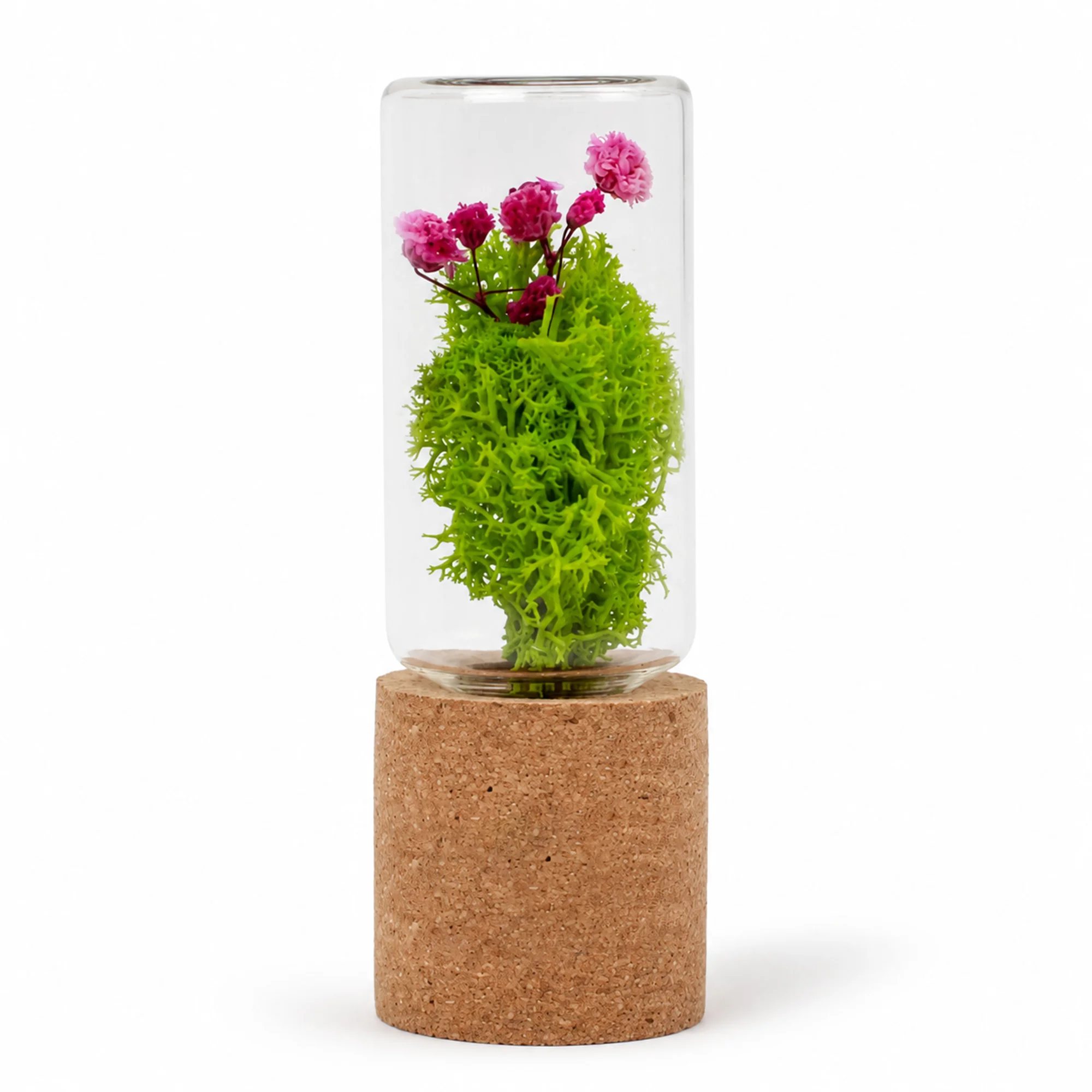 Forest Pod Brown preserved nature piece