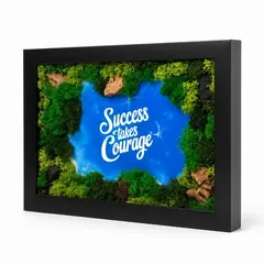 Forest Aqua frame