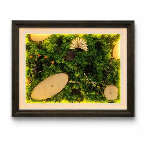 Forest Symphony XXL, 36 × 24 in