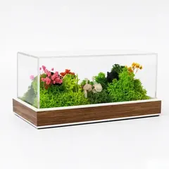Forest terrarium landscape