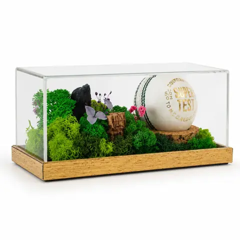 A preserved-plant landscape built around a model object under a clear case