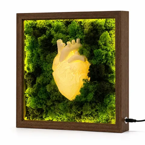 Illuminated Moss Heart Frame