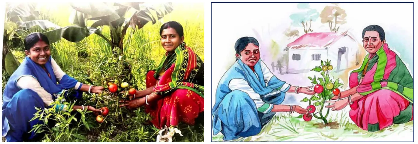 Two women picking tomatoes in a field, and the same scene as a watercolour