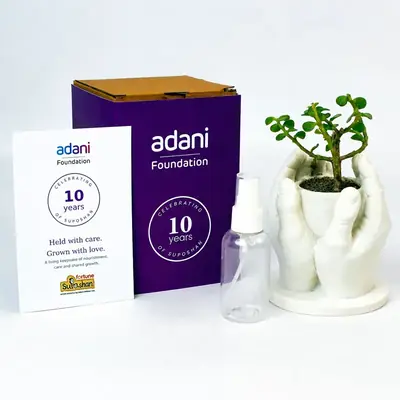 A plant held in two white hands, beside a printed card and a purple box