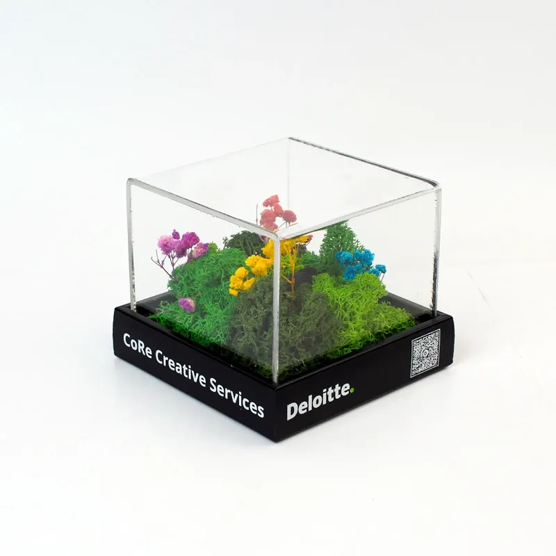 A terrarium with a QR code