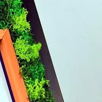 Close-up of the moss border in three greens