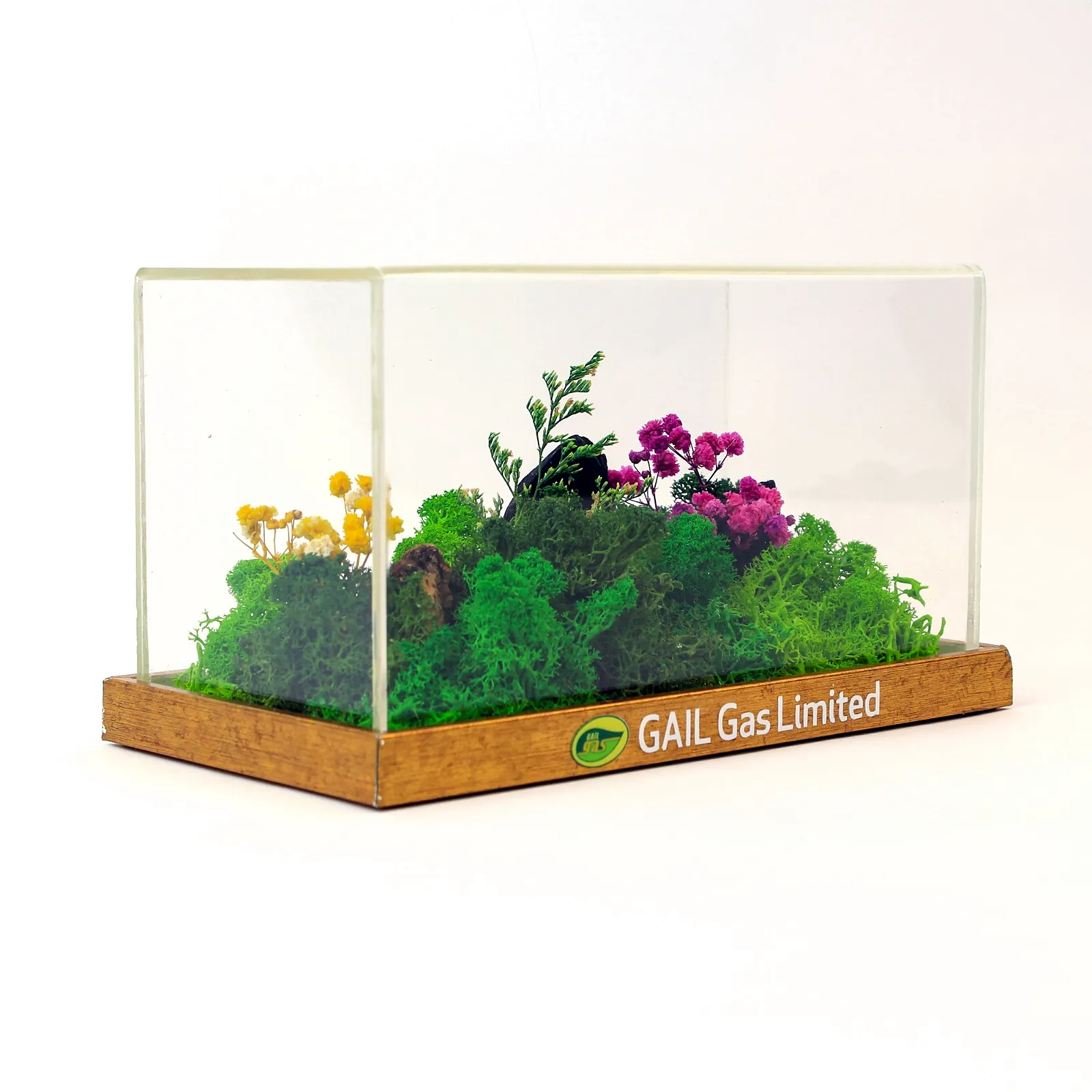 The moss landscape under acrylic
