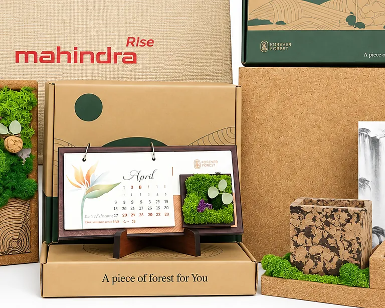 The kraft box with the moss frame, calendar and notebook, reading A piece of forest for you
