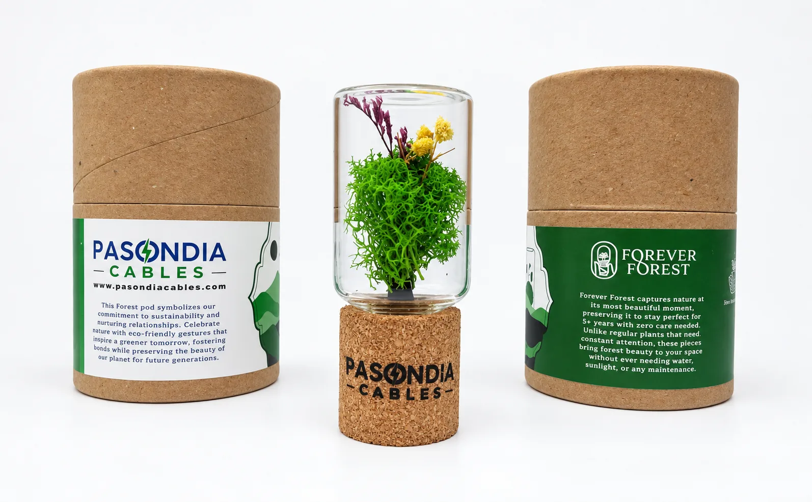 A preserved-botanical vial on a cork base between two kraft tubes with the client and Forever Forest sleeves
