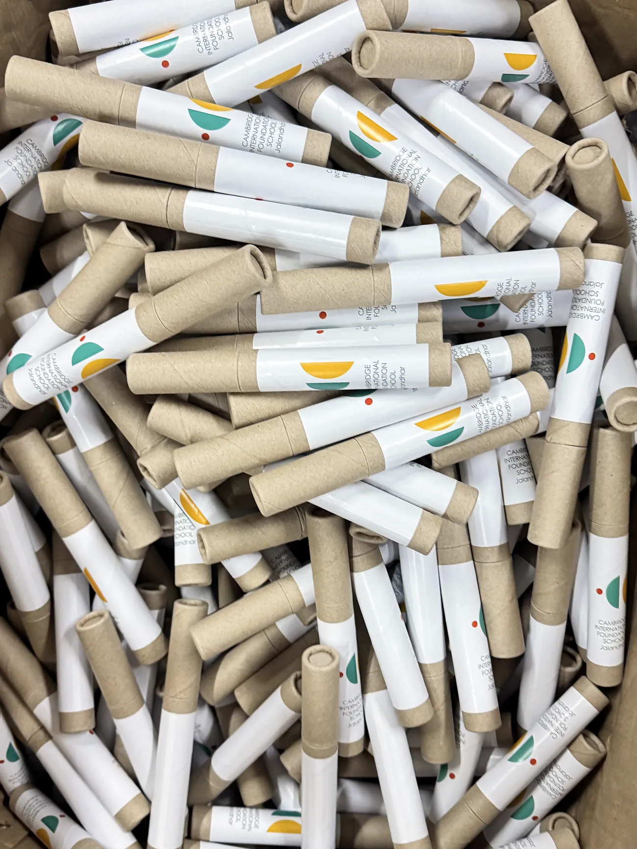 Hundreds of seed-pencil tubes in a crate
