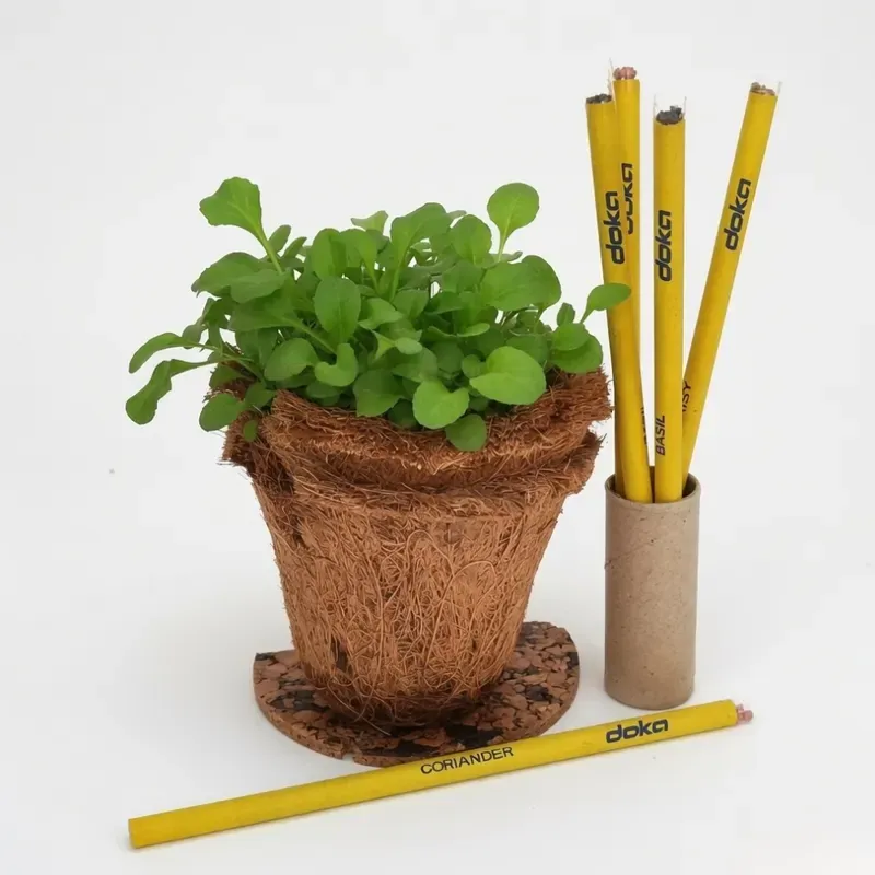 A seedling in the coir pot beside a pencil