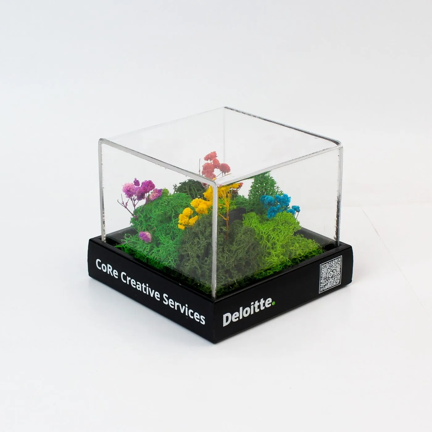 Cube terrarium on a branded base
