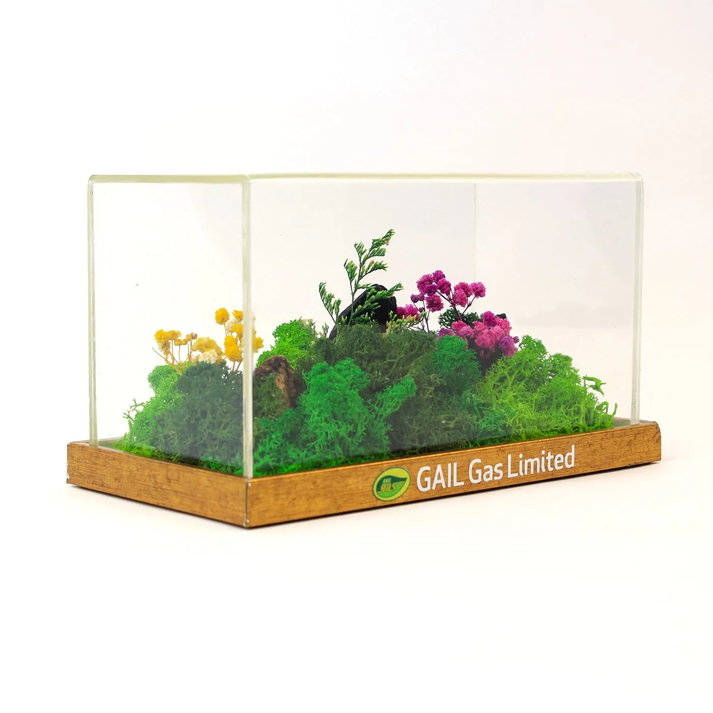 A terrarium on a cork base carrying the client’s mark