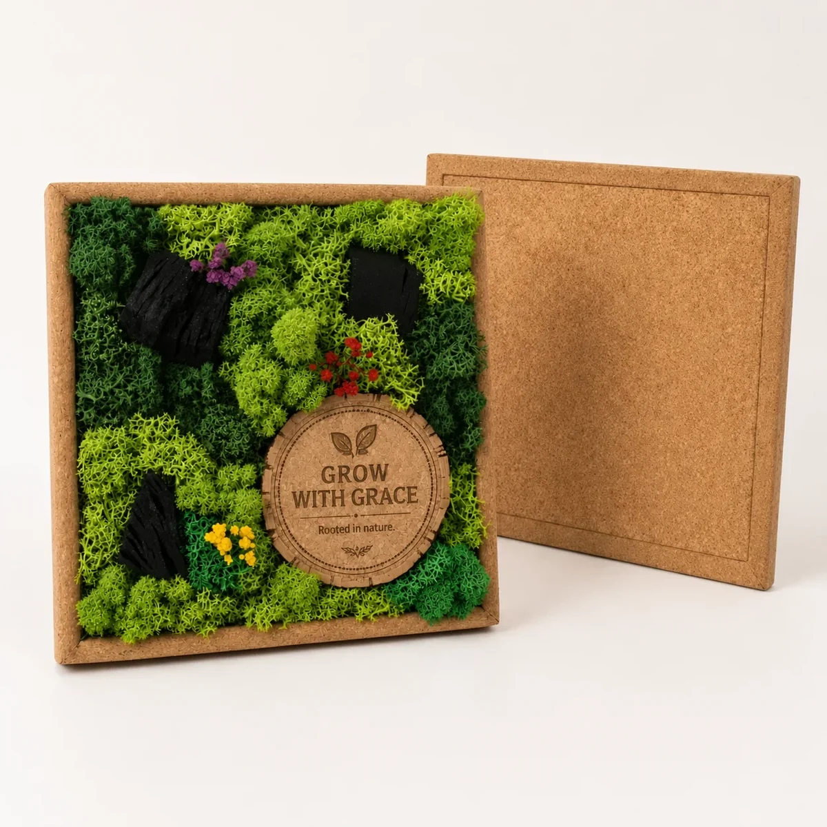 A cork frame holding real preserved plants and botanical detail