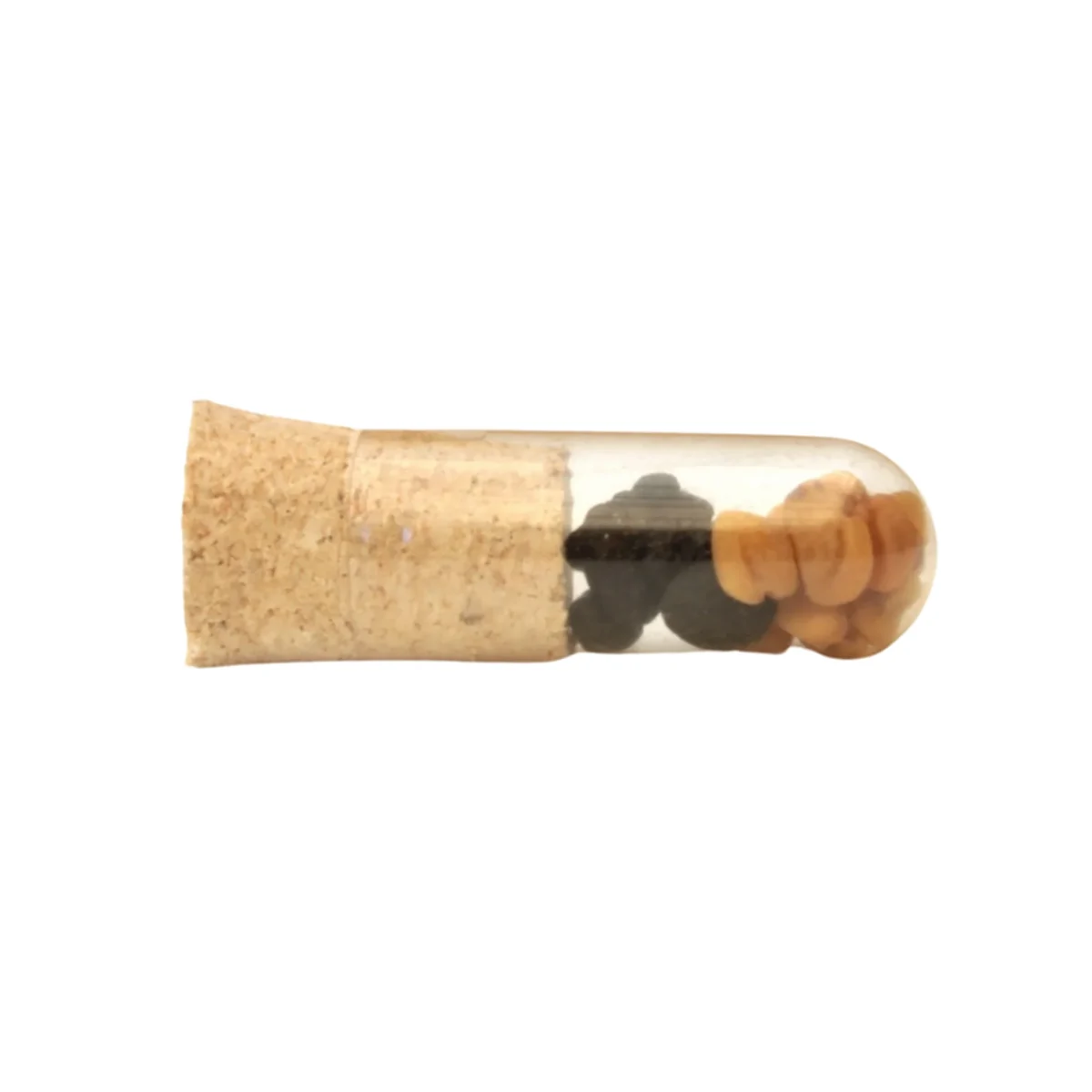 Seed Capsule