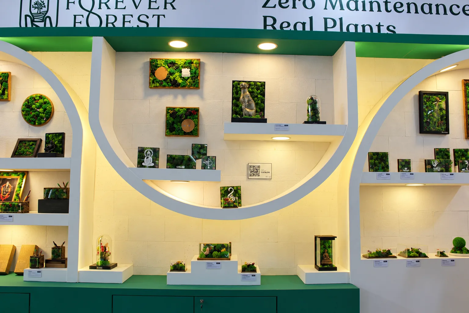 Curved white shelves with framed real plants under a green Forever Forest fascia