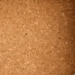 The grain of cork, close up