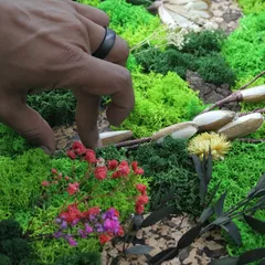 Hands setting dried flowers and stems into a bed of moss