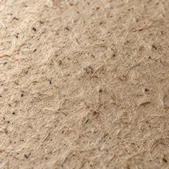 Recycled paper, close up: short fibres and flecks of pulp