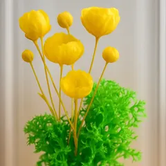 Preserved yellow flowers rising from moss, close up