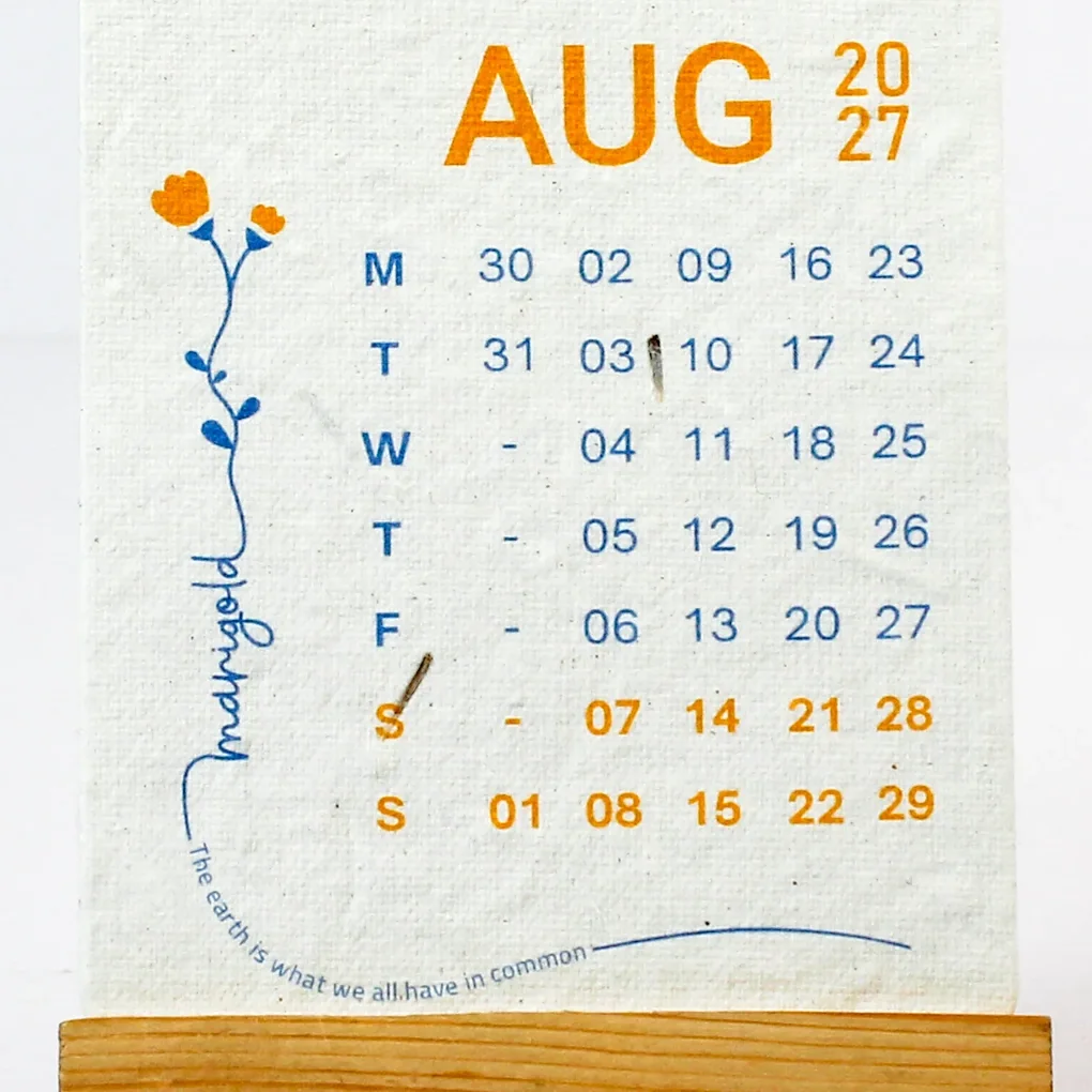 Close-up of the August 2027 card: the marigold drawing and its name, the dates, and seeds showing in the textured paper