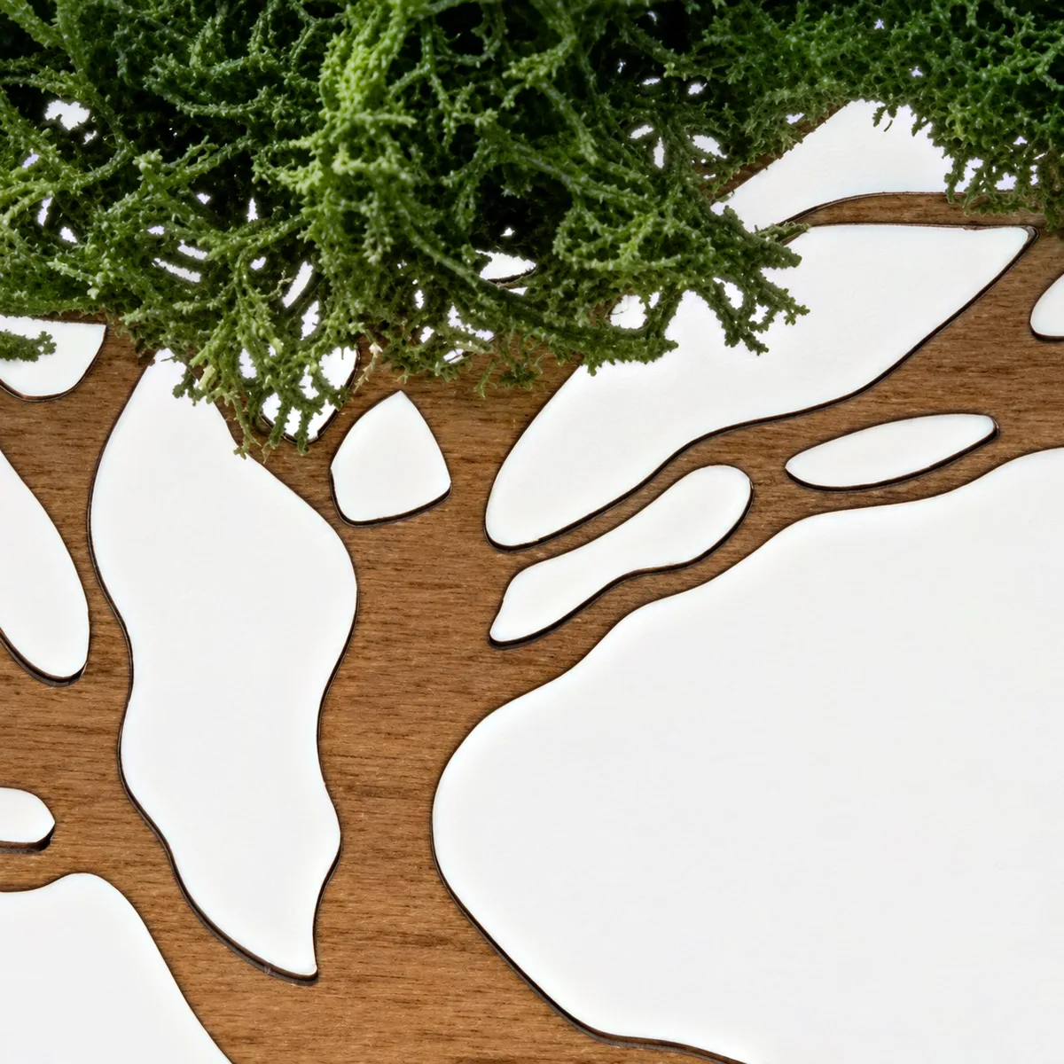 Close-up of the cut-out branches of the tree with preserved moss above them