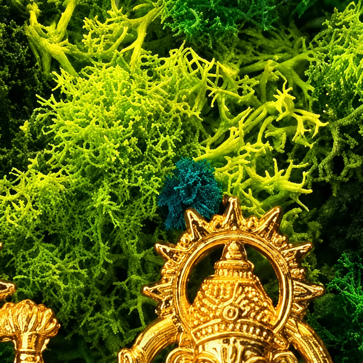 Close-up of moss in several greens and a small blue flower above the gold crown of an idol